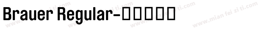 Brauer Regular字体转换